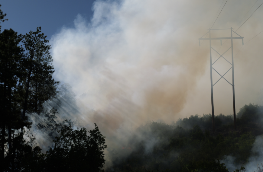 As a key piece of infrastructure, mangers focused on protecting the TriState Transmission Lines through low-intensity fire in order to prevent future high-intensity fire in the area. Photo credit: Lorena Williams, San Juan NF.